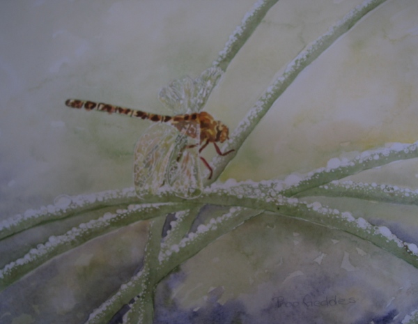 Gossamer